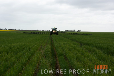 September 2014 / RURAL_SCENES_889