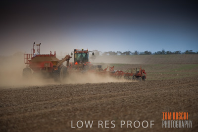 May 2010 / SEEDING_557