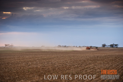 May 2010 / SEEDING_558