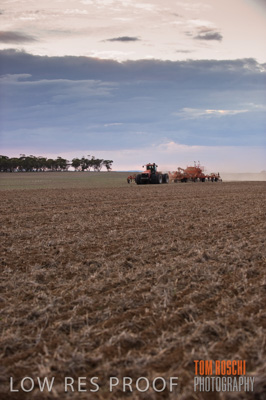 May 2010 / SEEDING_560