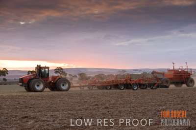 May 2010 / SEEDING_562