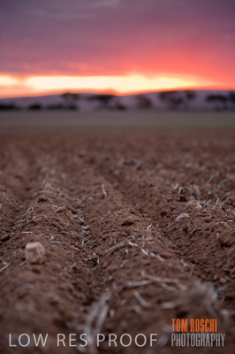 May 2010 / SEEDING_563