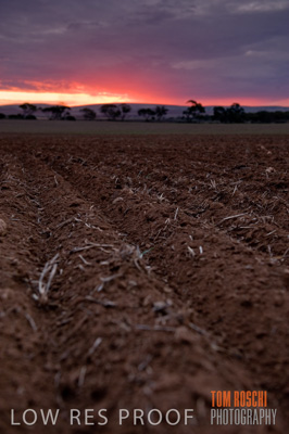 May 2010 / SEEDING_564