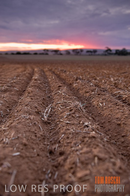 May 2010 / SEEDING_565