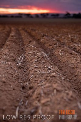 May 2010 / SEEDING_566