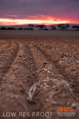 May 2010 / SEEDING_567