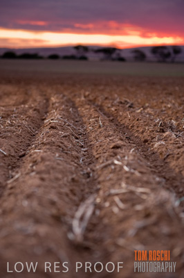 May 2010 / SEEDING_568