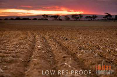 May 2010 / SEEDING_569