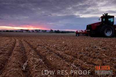 May 2010 / SEEDING_570