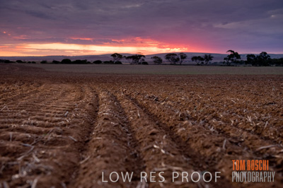 May 2010 / SEEDING_572