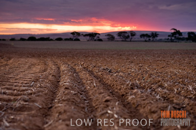 May 2010 / SEEDING_573