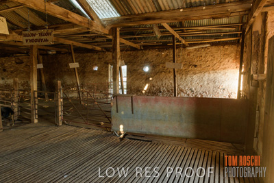 February 2018 / SHEARING_1504