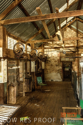 February 2018 / SHEARING_1514