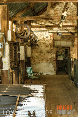 February 2018 / SHEARING_1516