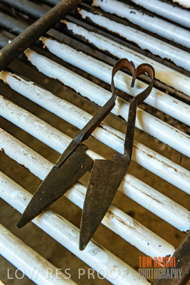 February 2018 / SHEARING_1518