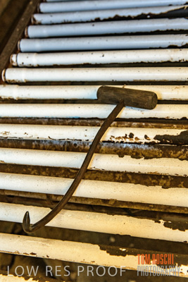 February 2018 / SHEARING_1519