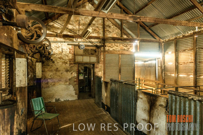 February 2018 / SHEARING_1520