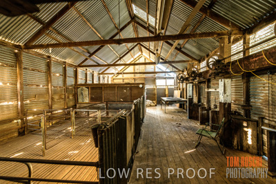 February 2018 / SHEARING_1521