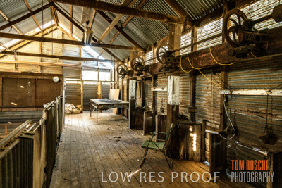 February 2018 / SHEARING_1522