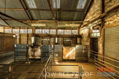 February 2018 / SHEARING_1524