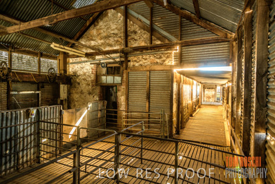 February 2018 / SHEARING_1526