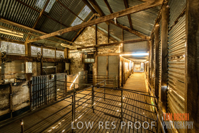 February 2018 / SHEARING_1527