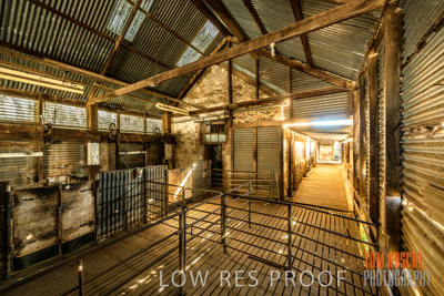 February 2018 / SHEARING_1528