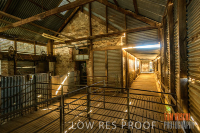 February 2018 / SHEARING_1530