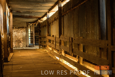 February 2018 / SHEARING_1532