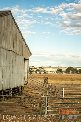 February 2018 / SHEARING_1548