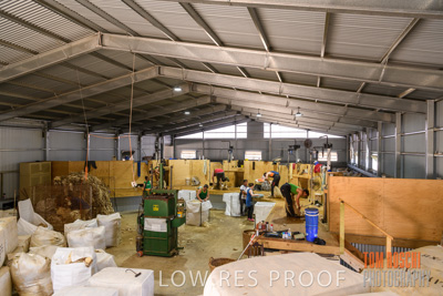 November 2019 / SHEARING_3080