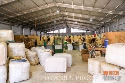 November 2019 / SHEARING_3081