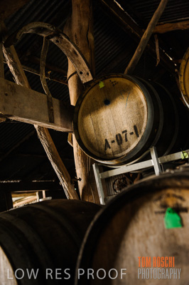 August 2008 / Wine_Barrels_Old_Shed-20