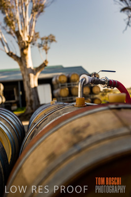August 2008 / Wine_Barrels_Outdoor-6