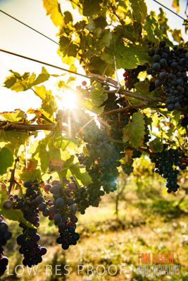 March 2020 / _85N2818