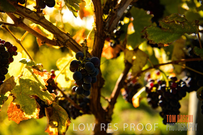 March 2020 / _85N2904