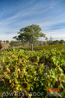 March 2020 / _85N2915