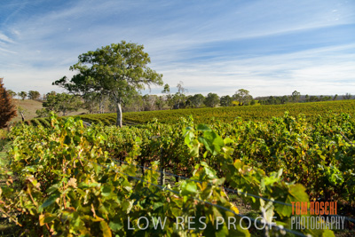 March 2020 / _85N2917