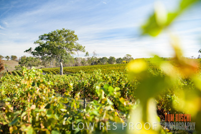 March 2020 / _85N2919