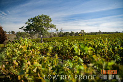 March 2020 / _85N2921