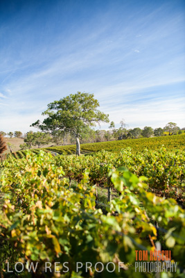 March 2020 / _85N2923