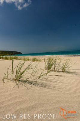 November 2016 / BEACH_OCEAN_002__161105_DSC_6579