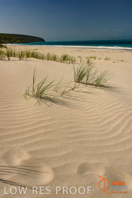 November 2016 / BEACH_OCEAN_003__161105_DSC_6578
