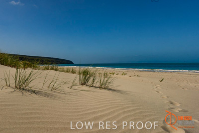 November 2016 / BEACH_OCEAN_004__161105_DSC_6575