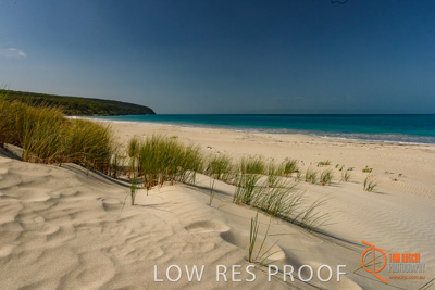 November 2016 / BEACH_OCEAN_008__161105_DSC_6556