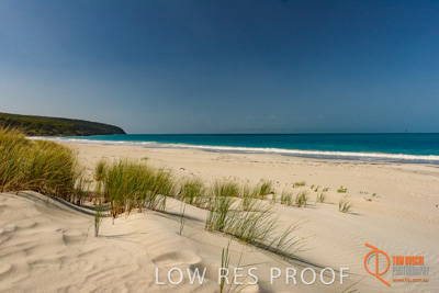 November 2016 / BEACH_OCEAN_009__161105_DSC_6555