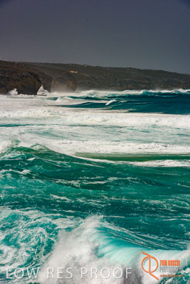 November 2016 / BEACH_OCEAN_020__161105_DSC_6364