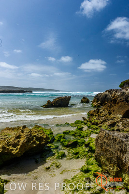 November 2016 / BEACH_OCEAN_037__161105_DSC_6226