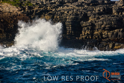 November 2016 / BEACH_OCEAN_056__161105_DSC_6141