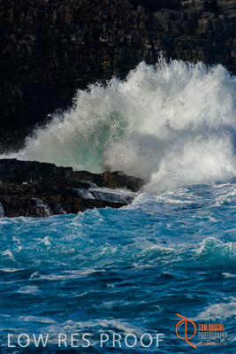November 2016 / BEACH_OCEAN_059__161105_DSC_6110